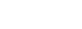 RaceX